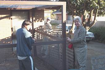 building the cat run