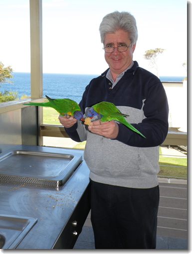 birds