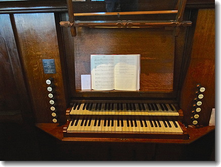 organ