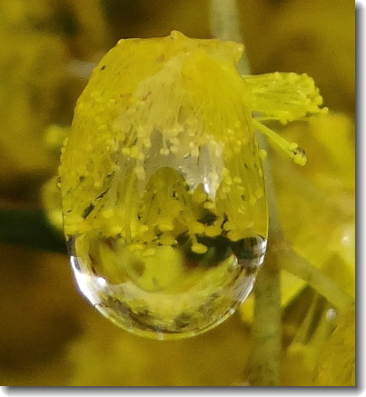 droplet