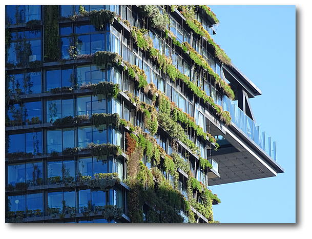 hanging gardens