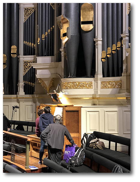 organ